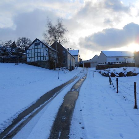 Ferienwohnung Schloessershof Borler Bagian luar foto
