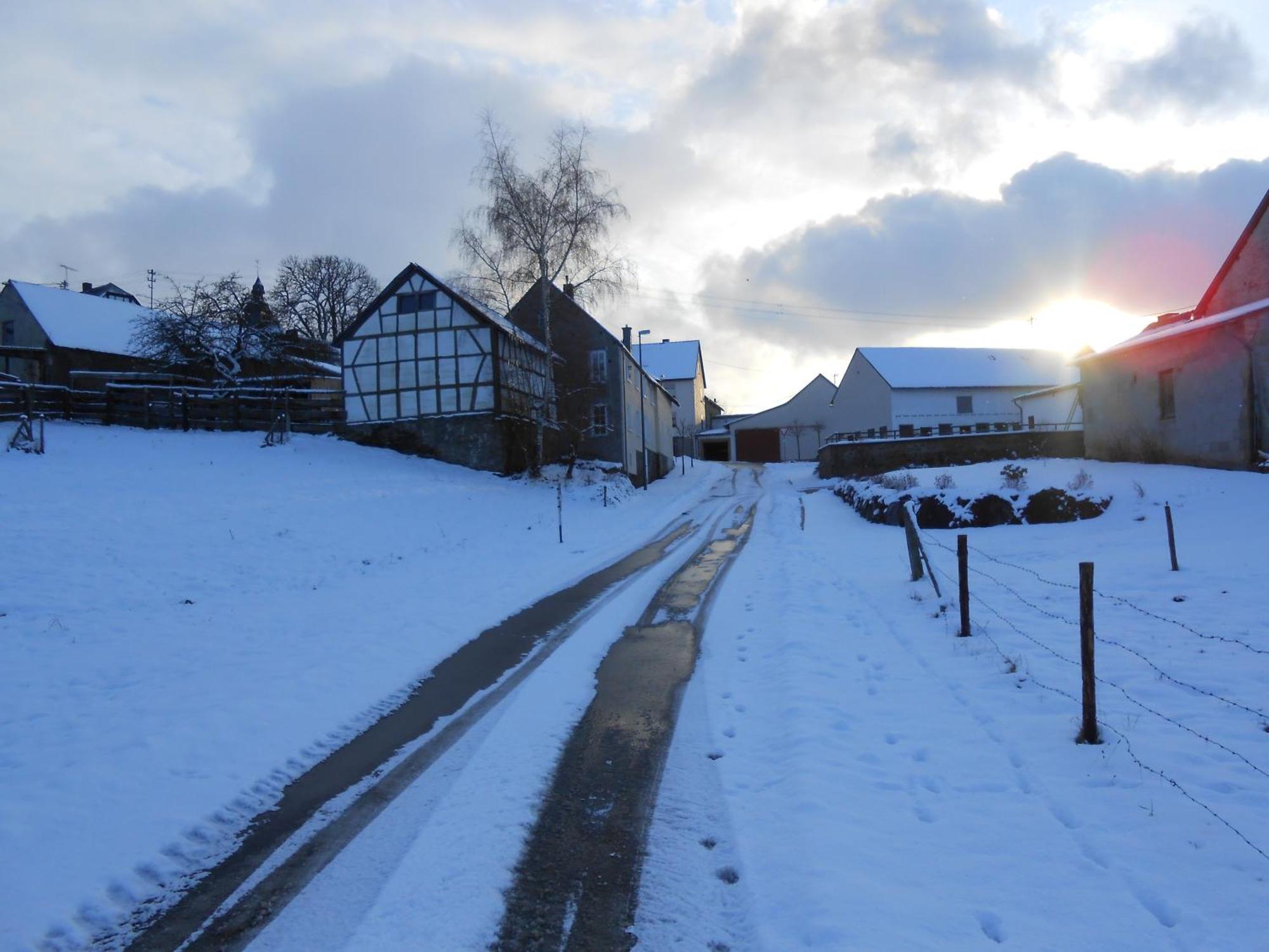Ferienwohnung Schloessershof Borler Bagian luar foto