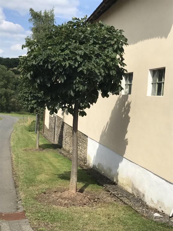 Ferienwohnung Schloessershof Borler Bagian luar foto